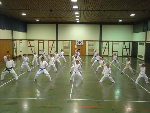 Taekwondo 2012