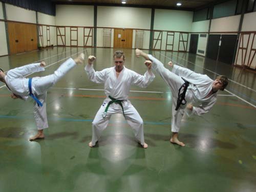 Taekwondo 2012