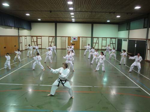 Taekwondo 2012