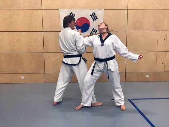 Trainingsbilder Taekwondo