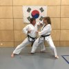 Trainingsbilder Taekwondo